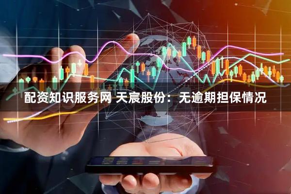 配资知识服务网 天宸股份：无逾期担保情况
