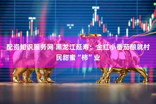 配资知识服务网 黑龙江延寿：金红小番茄酿就村民甜蜜“柿”业