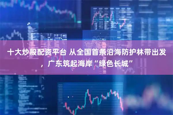 十大炒股配资平台 从全国首条沿海防护林带出发，广东筑起海岸“绿色长城”